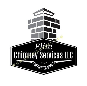 Professional logo concept